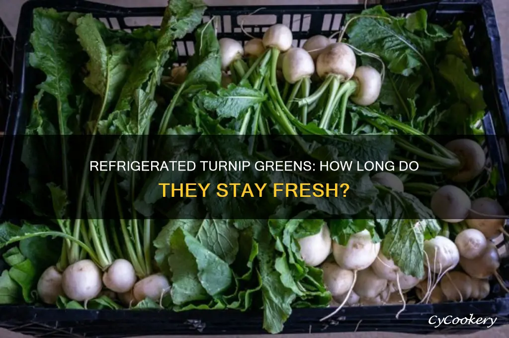 how long can cooked turnip greens stay in the refrigerator