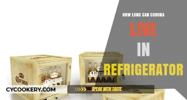 Corona's Fridge Survival: How Long Can the Virus Last?