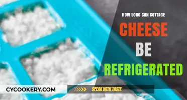 Cottage Cheese Storage: How Long Can It Stay Fresh in the Fridge?