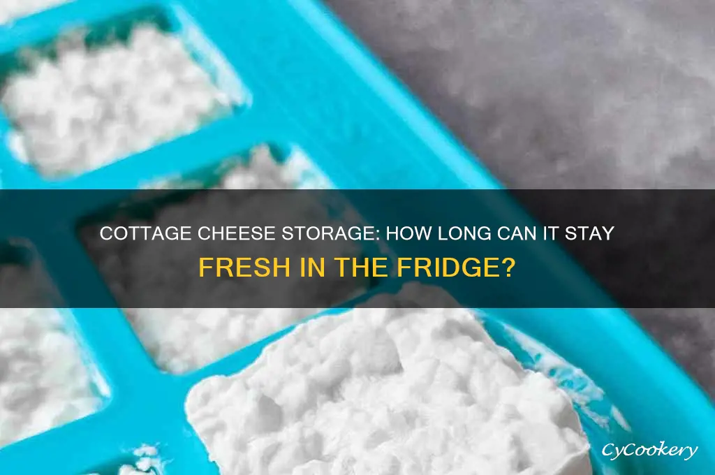 how long can cottage cheese be refrigerated