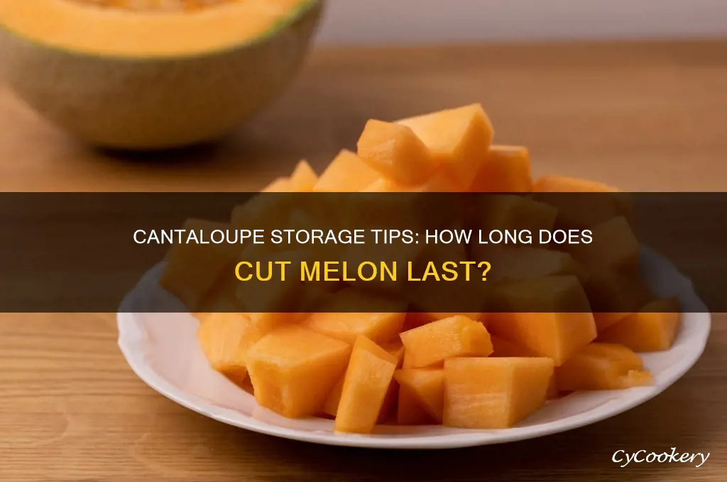 how long can cut cantaloupe stay in the refrigerator