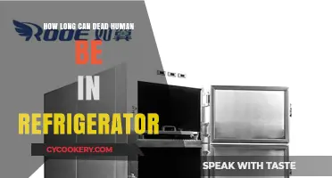 Storing Deceased Individuals: Refrigeration Duration and Ethical Considerations