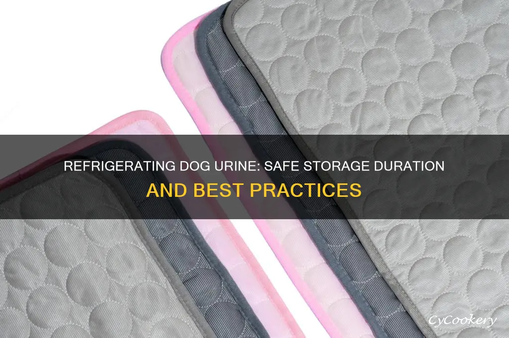 how long can dog urine be refrigerated