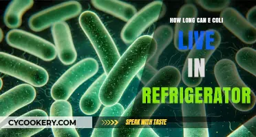 E. Coli Survival: How Long Does It Last in Your Fridge?