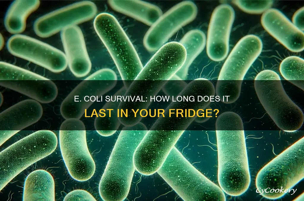 how long can e coli live in refrigerator