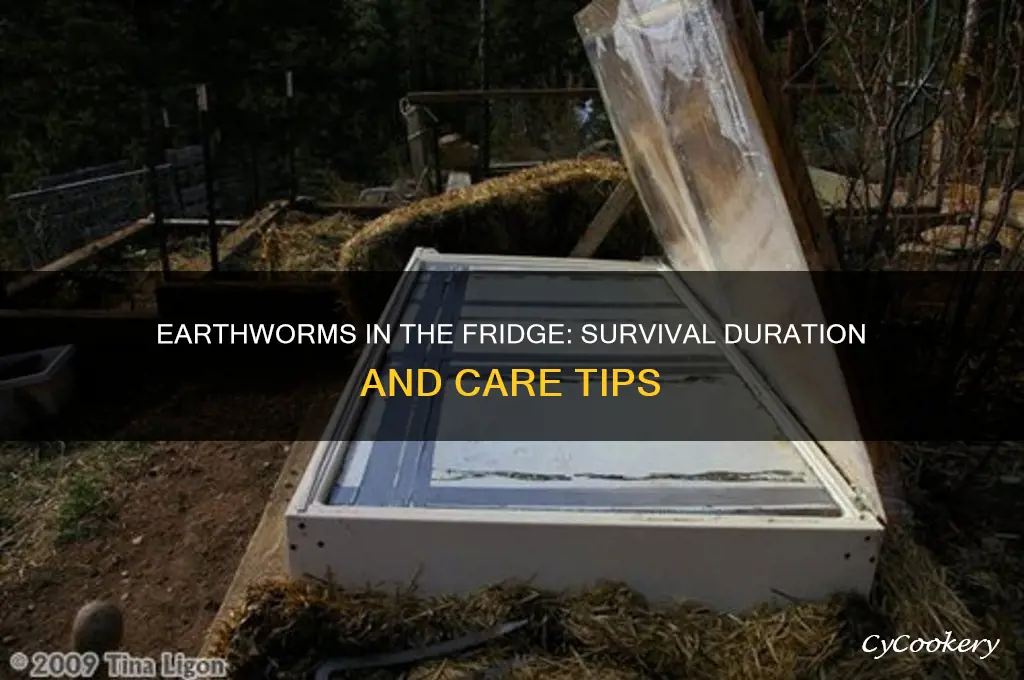 how long can earthworms live in the refrigerator
