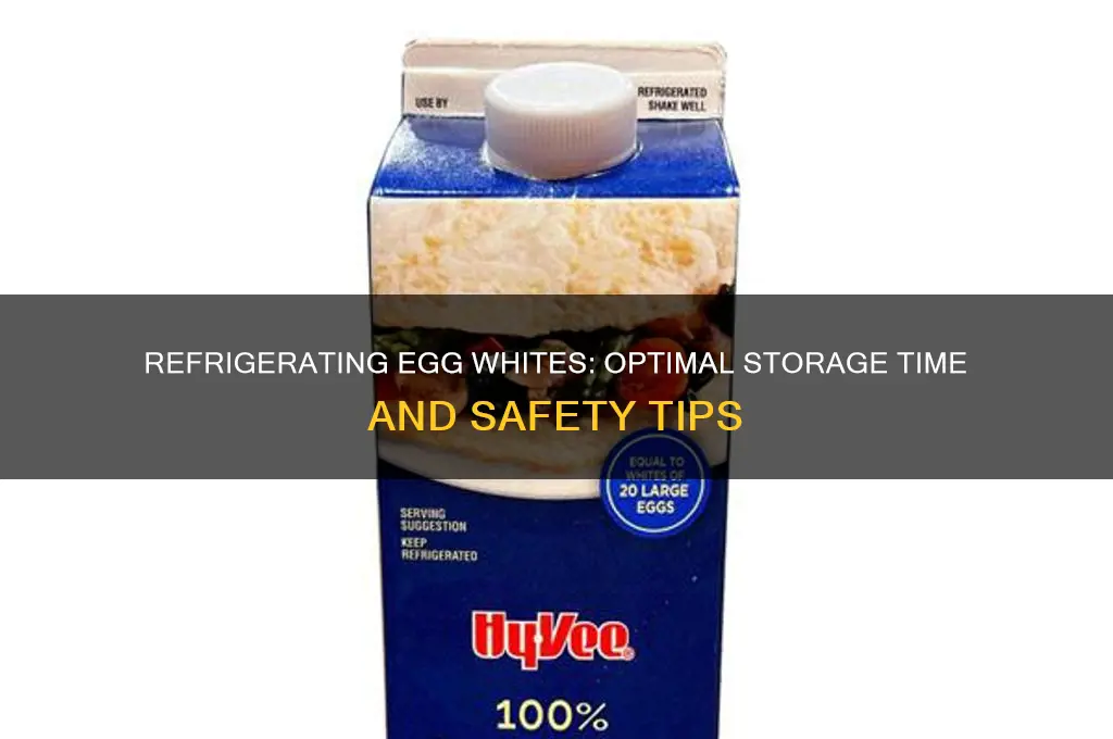 how long can egg white be refrigerated