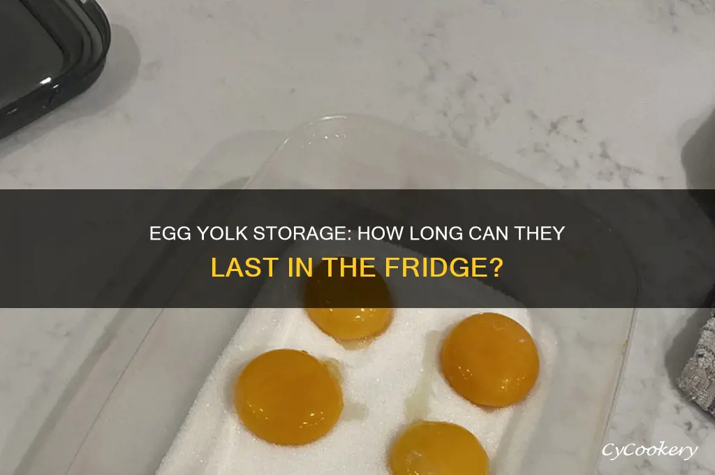 how long can egg yolks sit in refrigerator