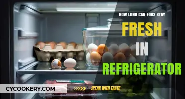 How Long Do Eggs Stay Fresh in the Fridge?
