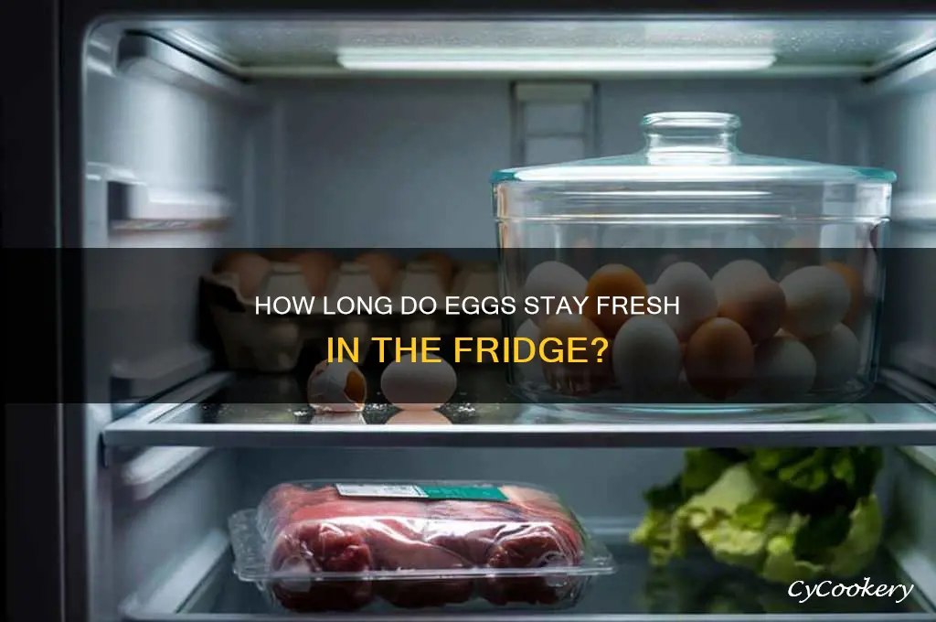 how long can eggs stay fresh in refrigerator