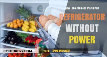 Eggs in the Dark: Refrigerator Lifespan Without Power Explained