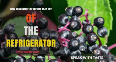 Elderberry Shelf Life: How Long Can It Stay Unrefrigerated?