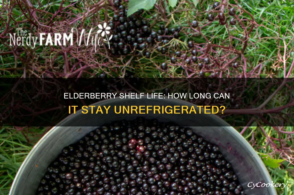 how long can elderberry stay out of the refrigerator