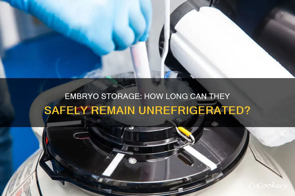 how long can embryo stay out of the refrigerator