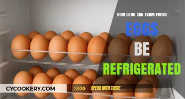 Refrigerating Farm Fresh Eggs: Optimal Storage Time and Tips