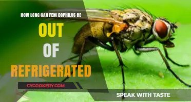 Fem-Dophilus Storage: How Long Can It Stay Unrefrigerated?