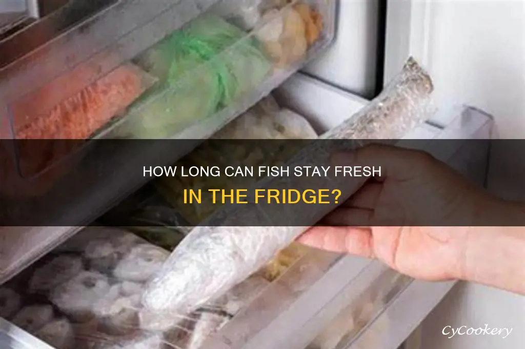 how long can fish be nkt refrigerated