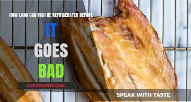 Refrigerating Fish: How Long Before It Spoils and Becomes Unsafe?