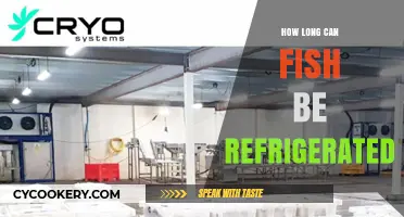 Refrigerating Fish: Optimal Storage Time for Freshness and Safety