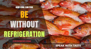 How Long Can Fish Stay Fresh Without Refrigeration?