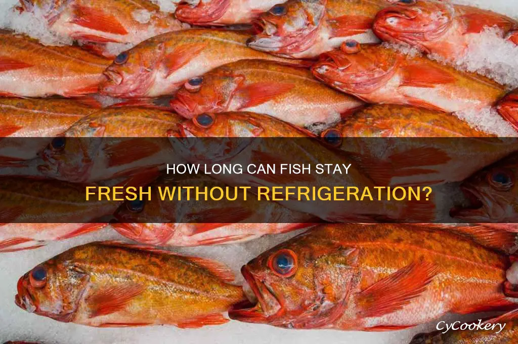 how long can fish be without refrigeration