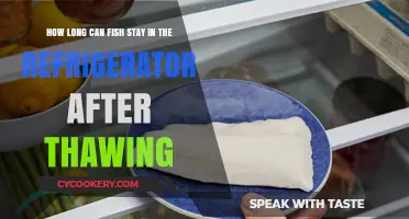 Thawed Fish Storage: How Long is it Safe in the Fridge?