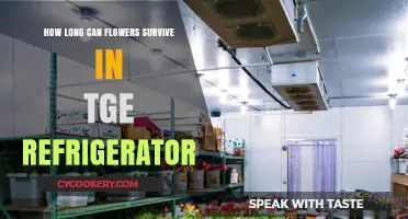 Extending Bloom Life: Refrigerator Storage Tips for Fresh Flowers
