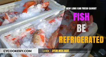 Refrigerating Freshly Caught Fish: Optimal Storage Time and Tips