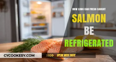 Refrigerating Fresh-Caught Salmon: Optimal Storage Time and Tips
