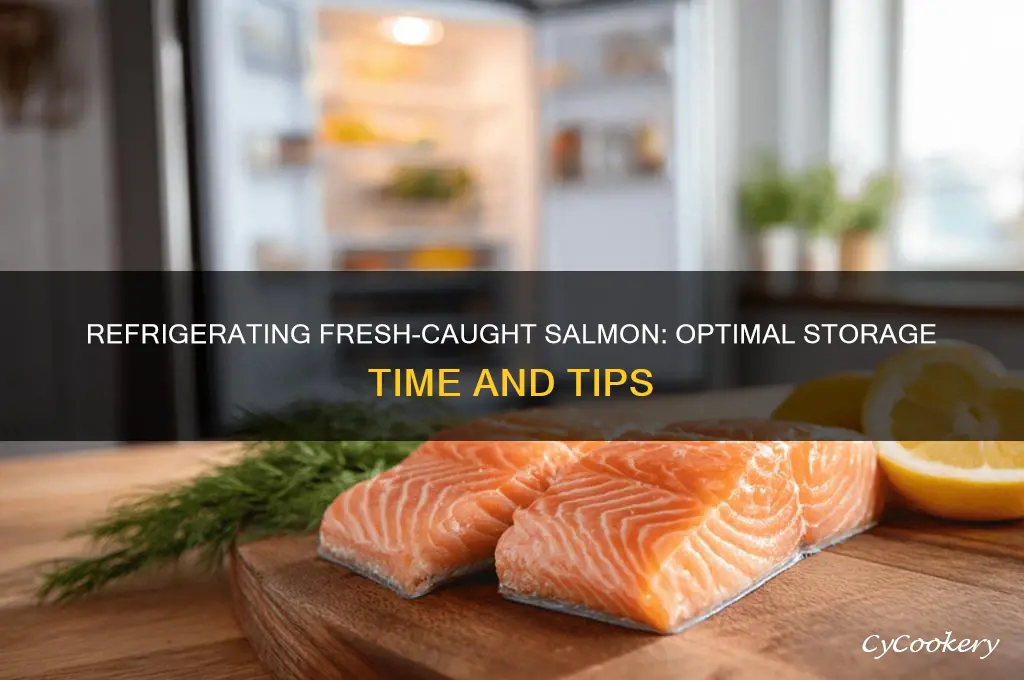 how long can fresh caught salmon be refrigerated