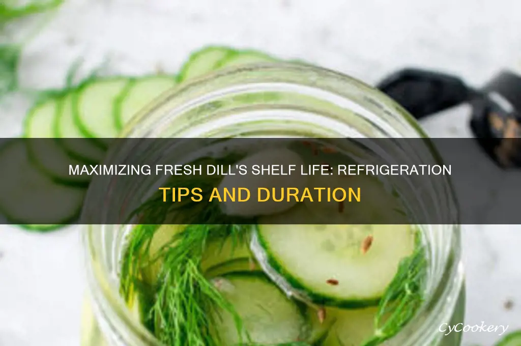 how long can fresh dill be stored in the refrigerator