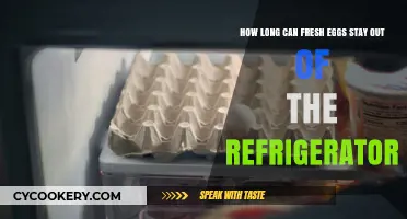 Fresh Eggs: Safe Storage Time Without Refrigeration Explained