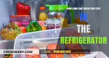 Fresh Fish Storage: How Long Can It Last in Your Fridge?