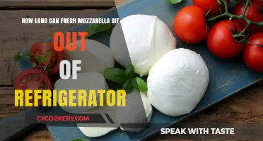 Fresh Mozzarella Shelf Life: How Long Can It Sit Out?