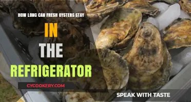 Fresh Oysters in the Fridge: Safe Storage Duration Explained