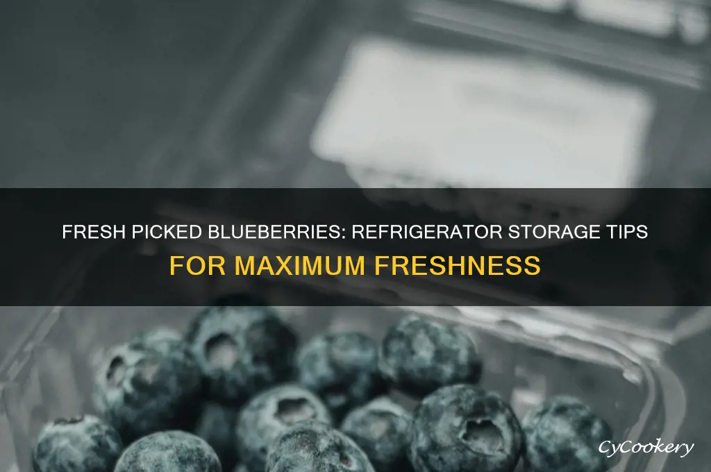 how long can fresh picked blueberries stay in refrigerator