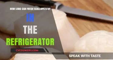 Fresh Scallops Shelf Life: Refrigerator Storage Tips and Duration