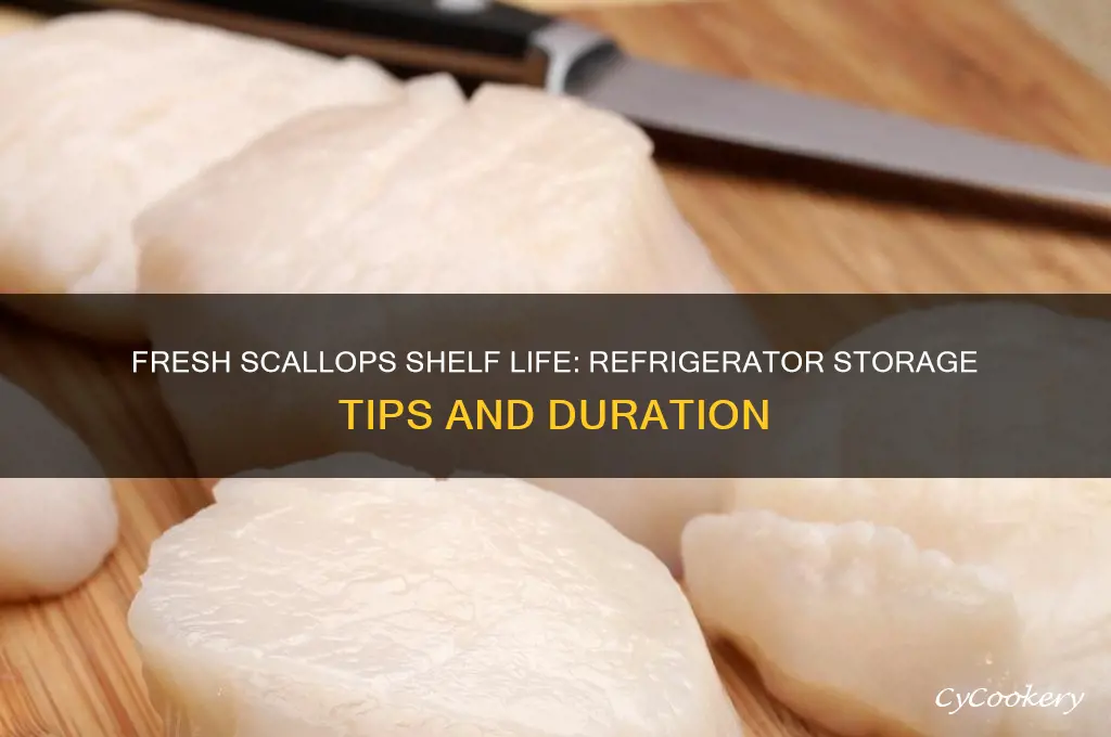 how long can fresh scallops stay in the refrigerator