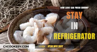 Fresh Shrimp Storage: How Long Can It Last in the Fridge?