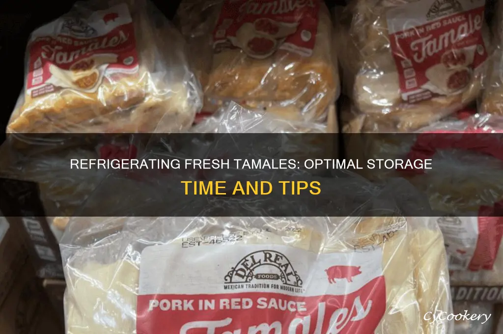 how long can fresh tamales be refrigerated