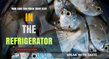 Fresh Trout Storage: How Long Does It Last in the Fridge?