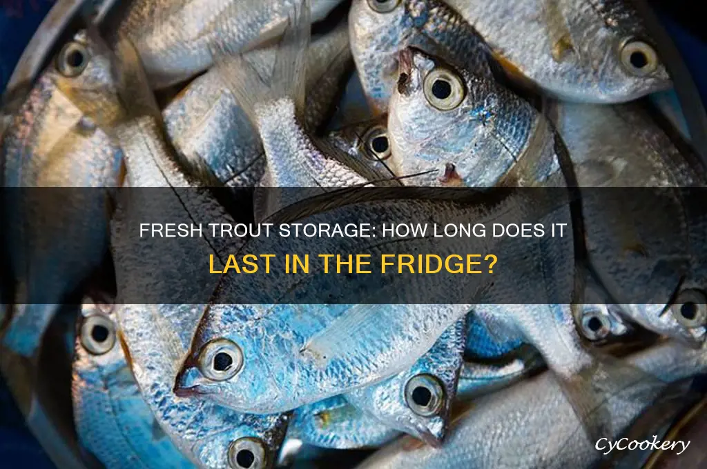 how long can fresh trout stay in the refrigerator