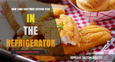 Refrigerated Fried Catfish: Safe Storage Duration and Freshness Tips