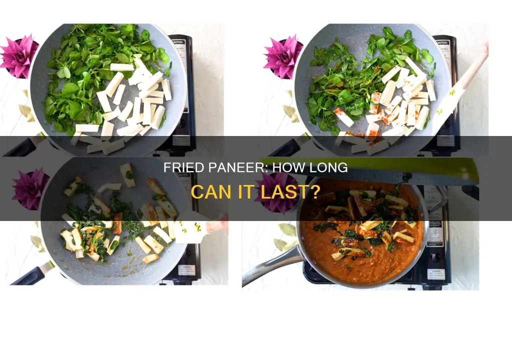 how long can fried paneer sit out