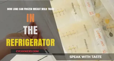 Thawing Frozen Breast Milk: Safe Refrigerator Storage Time Explained