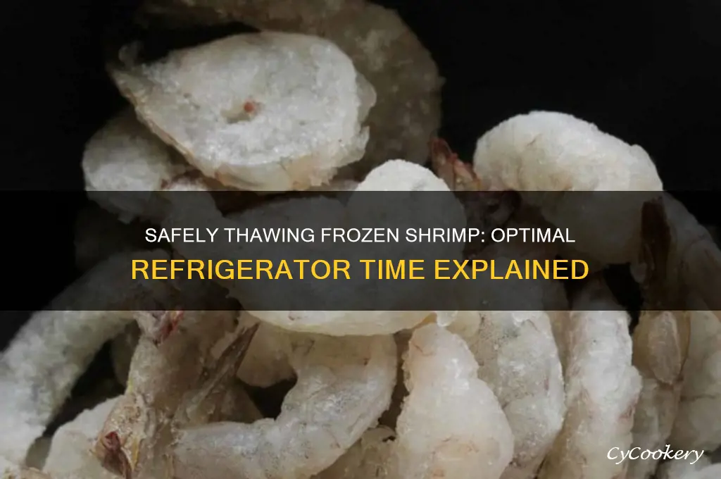 how long can frozen shrimp thaw in the refrigerator