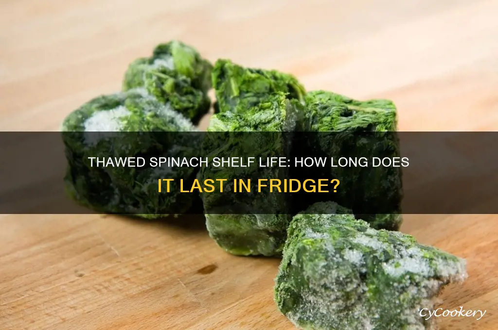 how long can frozen spinach stay in refrigerator after thawing