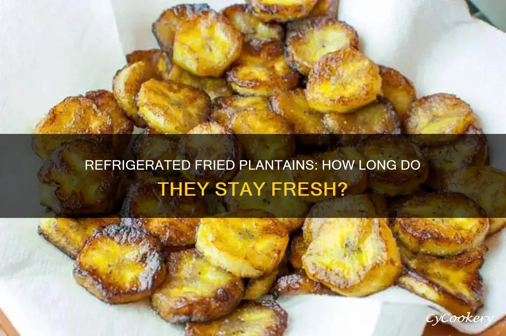 how long can fry plantains stay in refrigerator