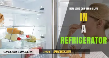 How Long Do Germs Survive in Your Refrigerator?