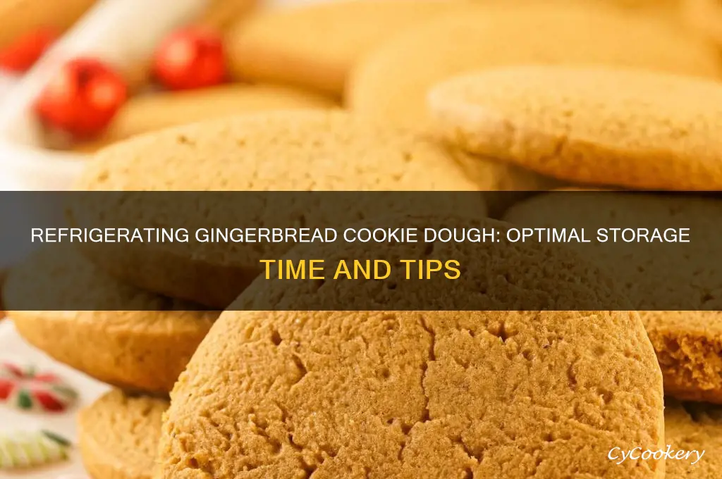 how long can gingerbread cookie dough be refrigerated